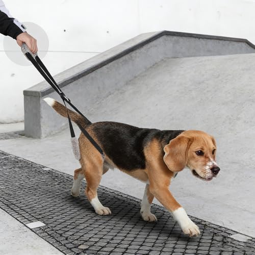 Breathable Dog Lifting Harness with Adjustable Rear Support, Dog Sling for Back Legs Assists Disabled Elderly Dogs, While The Dog Support Harness for Back Legs Ensures Joint Relief - Image 6