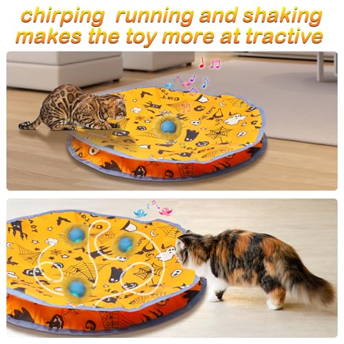 Mdupw Interactive Cat Toys Ball Rolling in The Pouch, Chirping & Motion Activated Interactive Ball Toy Begins Hide and Seek Game in Mat, Rechargeable Exercise Cat Toy