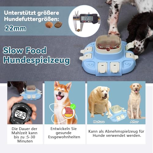 Dufuso Hundespielzeug für Beschäftigung, Intelligenz-Spiel, Hund, unverwüstliches Spielzeug für Hundenapf, Strategiespiel, Interaktives Training, Level 2 (mittelgroß)