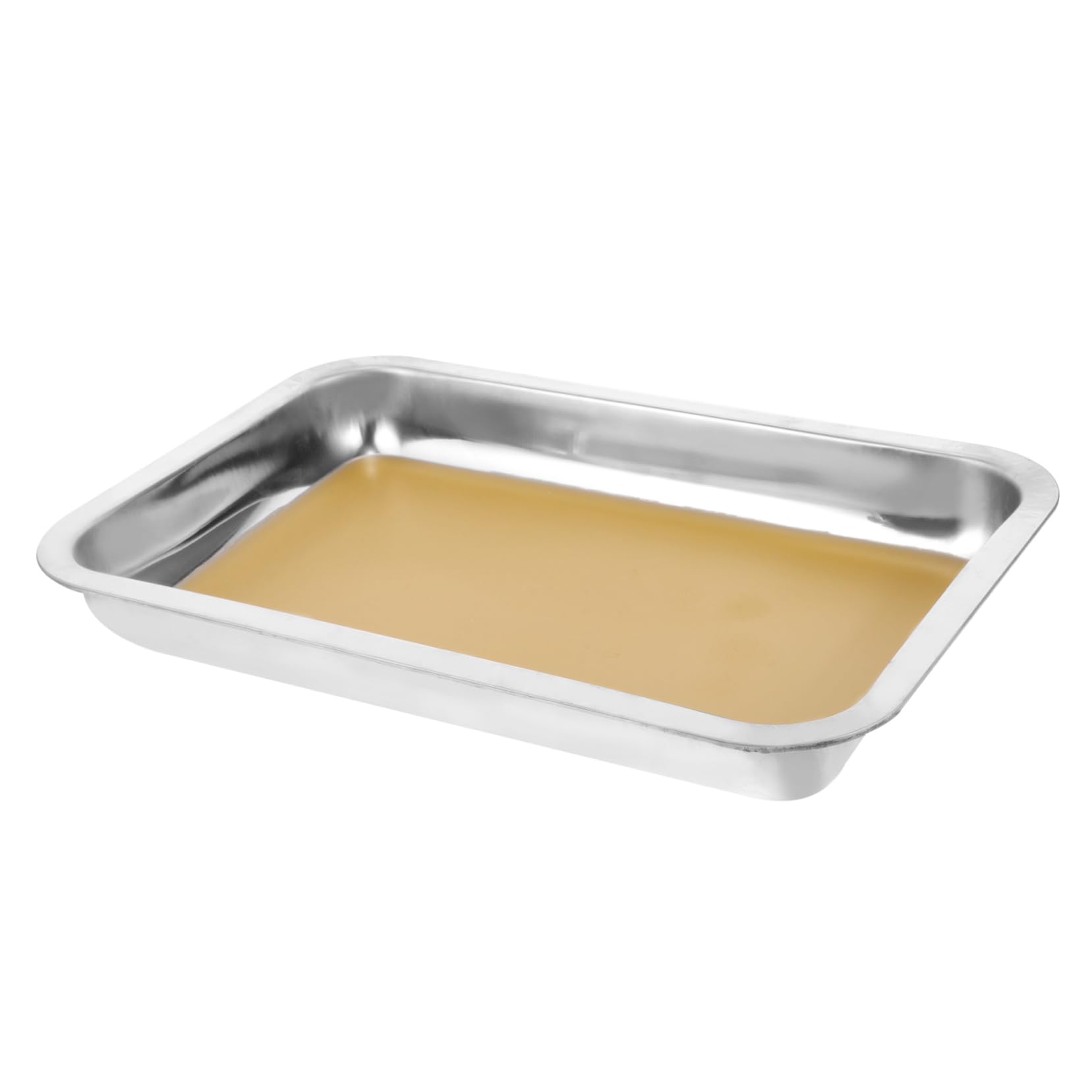 MAGICLULU 4 Pezzi Vassoio per Dissezione Inox Resistente e Pratico per Esperimenti Biologici Superficie Antiruggine per Laboratori e Istruzione