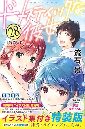 ドメスティックな彼女 公式薄い本 (講談社キャラクターズA