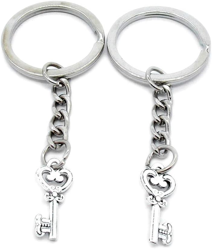 50 Pieces Keyring Keychain Wholesale Suppliers Jewelry Clasps J1YR1V Magic Skeleton Key
