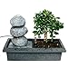 Produktbild Exotenherz - Indoor-Bonsai mit Zimmer-Brunnen"Balance" - 3 Kieselsteine - Easy Care System