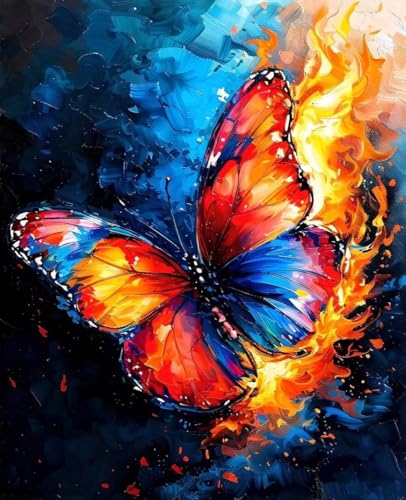 G  LbgɂG  Paint by Numbers DIYyCg l S qp ȒPɓh ANʊG̋ |  H| Lbg 3̃yCguV1̃Zbg̃AN痿gp z[ ItBX 