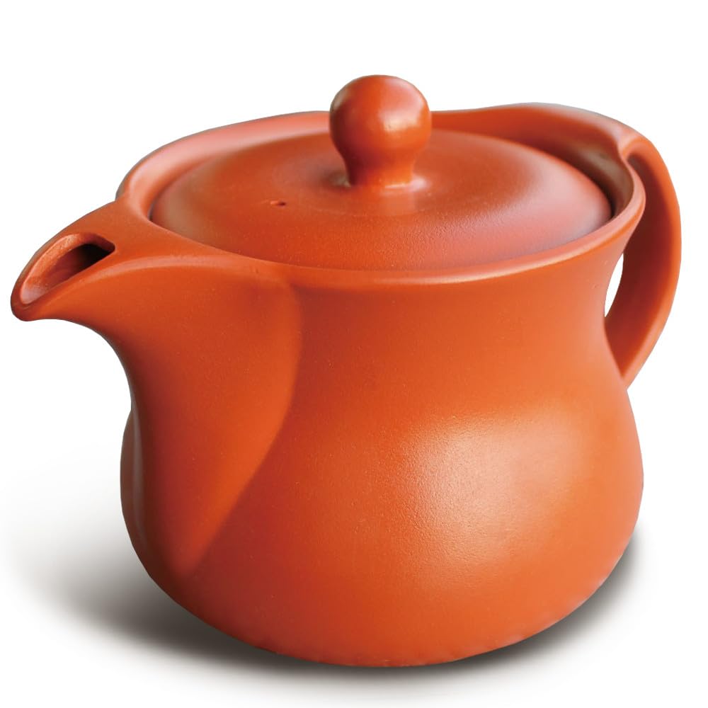 Tokoname Yaki Kyusu Kyusu Teapot, Stylish, Made in Japan, Makes Tea Delicious : Home & Kitchen