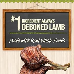 Merrick kitchen comforts healthy natural canned adult dog food with gravy shepherds pie with lamb and rice  pack of 12 12 7 oz Cans   cucciolini doodles