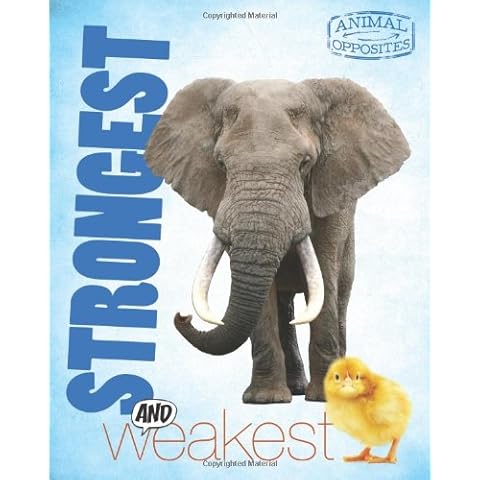 O'Neill Strongest and Weakest Hoodie for Women Cover