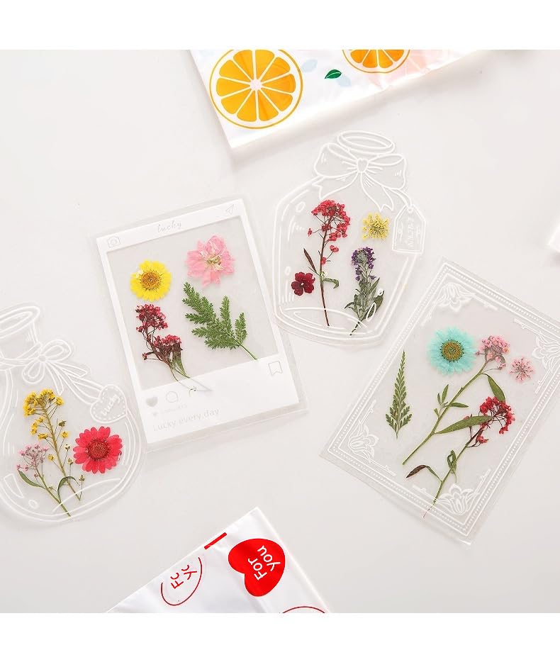 Amazon | LAMEILAドライフラワーのしおり 48枚セット 押し花