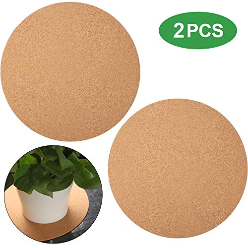 Best Cork Coaster For Plants
