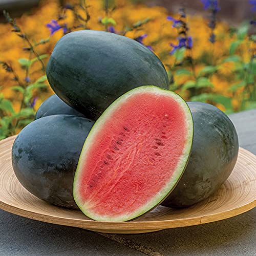 GARDENIFY INDIA GREEN FRESH WATER MELON SEEDS (75 SEEDS/PACKET) (B093TLB61Z) Amazon Price History, Amazon Price Tracker