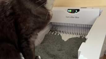 Gulcircle 猫 トイレ 猫トイレ 自動:自動ネコトイレ Amazon | Gulcircle 猫 トイレ 猫トイレ 自動:自動ネコトイレ