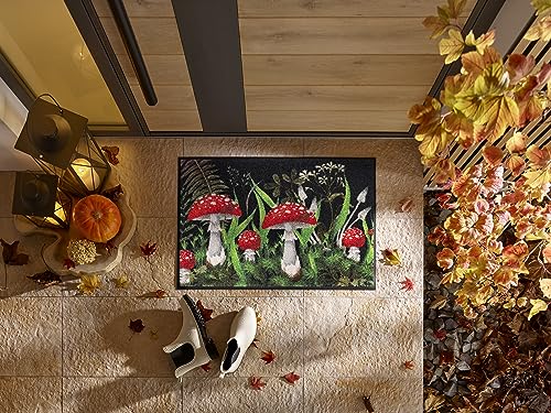 wash+dry Paddehatte Front Door Floor Mats, 50 x 75 cm Washable for Indoor and Outdoor Use, Colourful, 50 x 75 cm (Rectangular) - Image 3