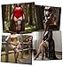 ValueBargain Fishnet Stockings Plus Size with Bows, Plus Size Fishnet Stockings for Women, Stay up over the Knee Lingerie for Christmas Curvy Women Daily Wear Fashion Cosplay