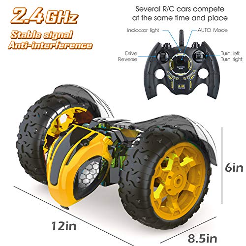 bee rc car
