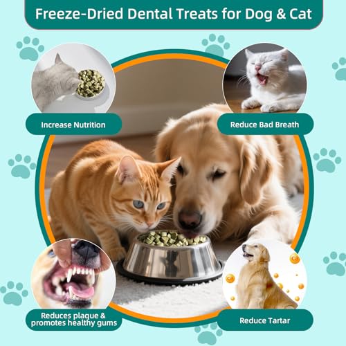 Image of 4 Pack Dental Chews for Dogs, Freeze Dried Dog & Cat Treats to Help Clean Teeth & Freshen Breath,Supports Gum & Oral Health, Daily Oral Care Treats for Cats and Dogs