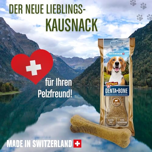 DeliBest DentaBone Lamm I Kauknochen Hund leicht verträglich ohne Gluten I Kaustange Hund für Zahnreinigung I Hundesnacks für groß und klein I Hundekauknochen 1 x 100 g