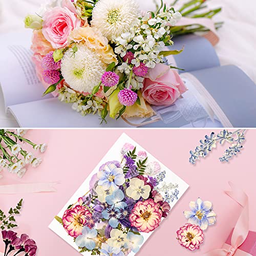 Blaflo 35+Pcs Purple Flowers For Resin Model, Real Pressed Flowers Dry Leaves Bulk Natural Herbs Kit For Scrapbooking Diy Art Crafts, Epoxy Jewelry, Candle, Soap Making, Nails Decor #TOP2