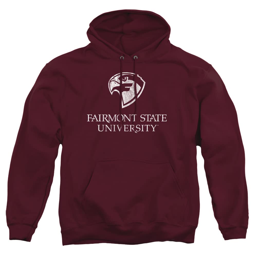 LOGOVISION Official Collegiate Distressed Primary Logo Adult Pullover Hoodie Collection — view 448