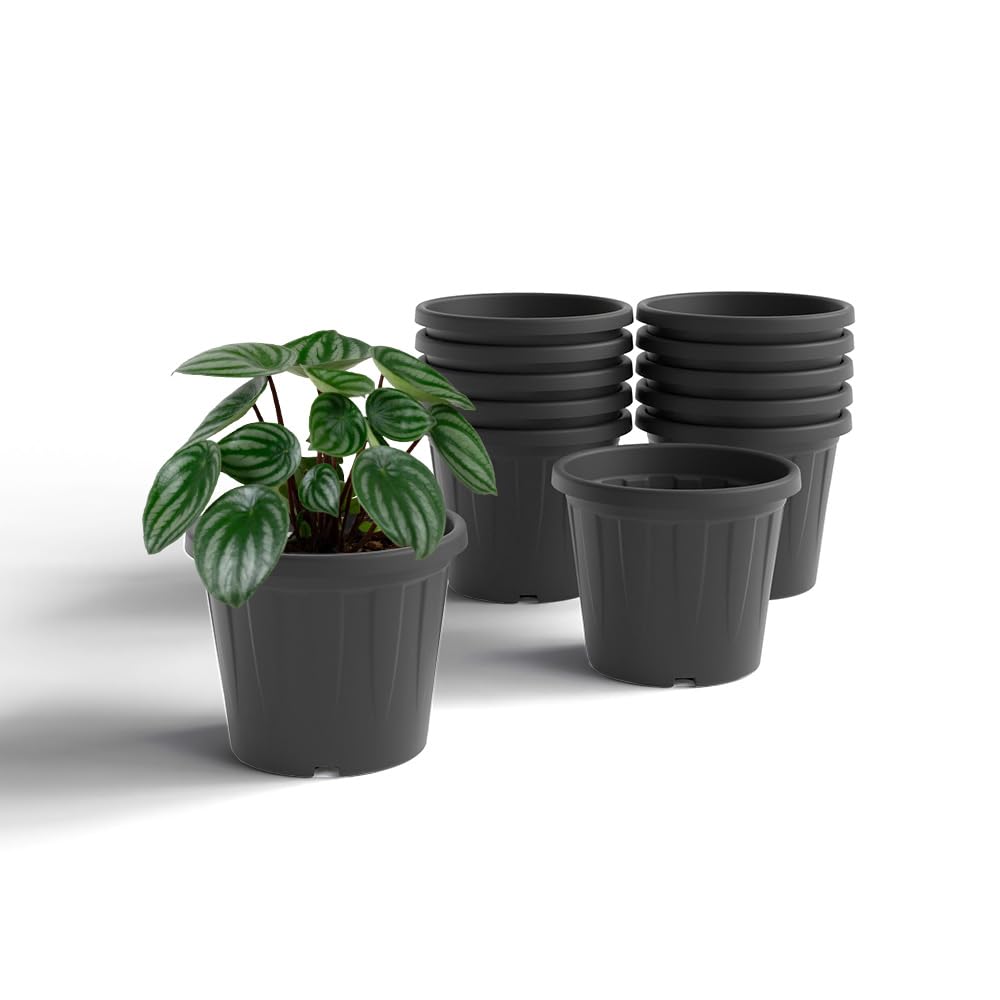 YUCCABE ITALIA 6 Pack White Nursery Planters -8
