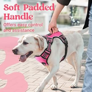 Rabbitgoo dog harness for large dogs no pull pet harness with soft padded handle adjustable reflective vest with 3 buckles easy walking harness with 2 leash clips pink l   cucciolini doodles