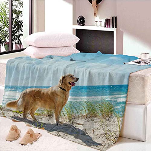 Couverture microfibre douce et chaude pour vos déplacements et soirées
