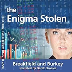 The Enigma Stolen Audiolibro Por Charles V Breakfield, Roxanne E Burkey arte de portada