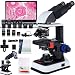 40X-2500X Binocular Microscope, WF10x and WF25x Eyepieces, LED Illumination, with Specimen Handpiece Holder, for Beginners, Microscope for Adults