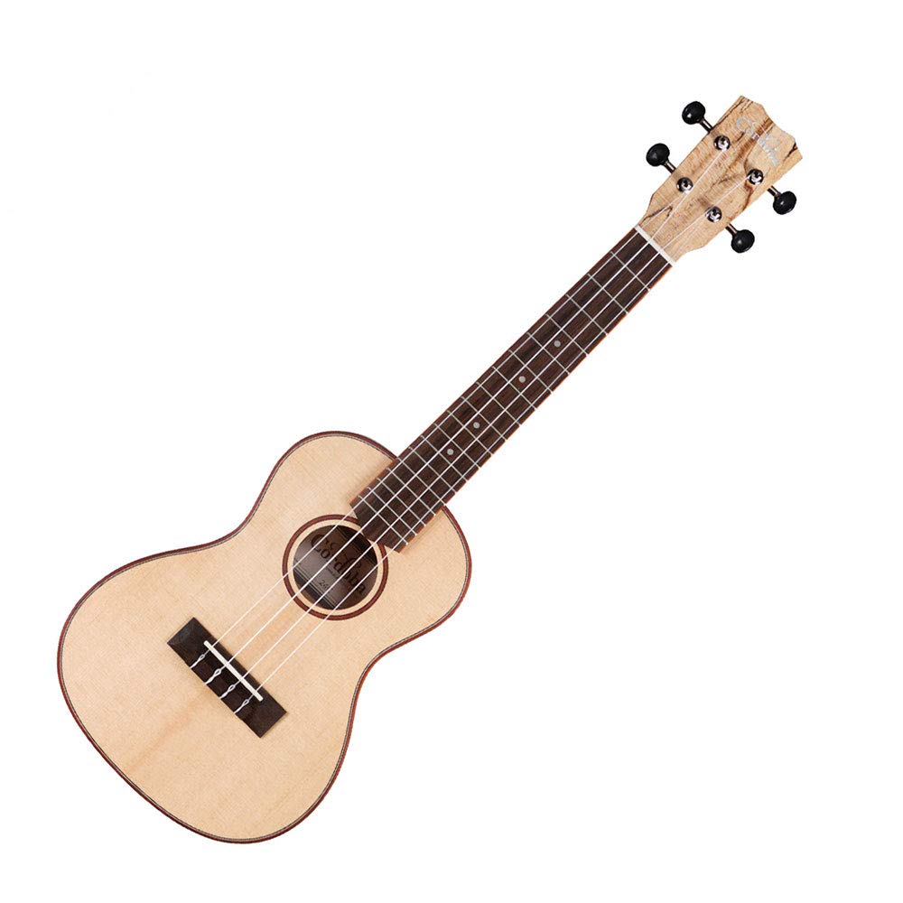 Amazon.co.jp: Cordoba (コルドバ) スプルーストップ コンサート