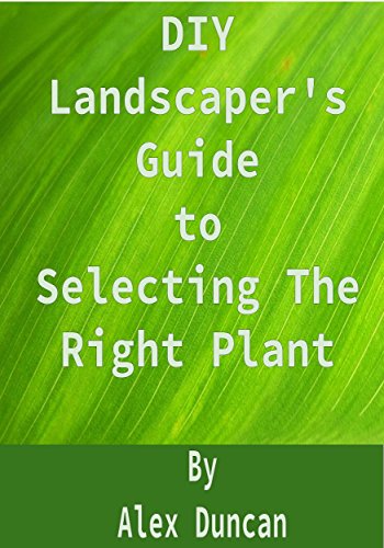 DIY Landscapers's Guide to Selecting The Right Plant