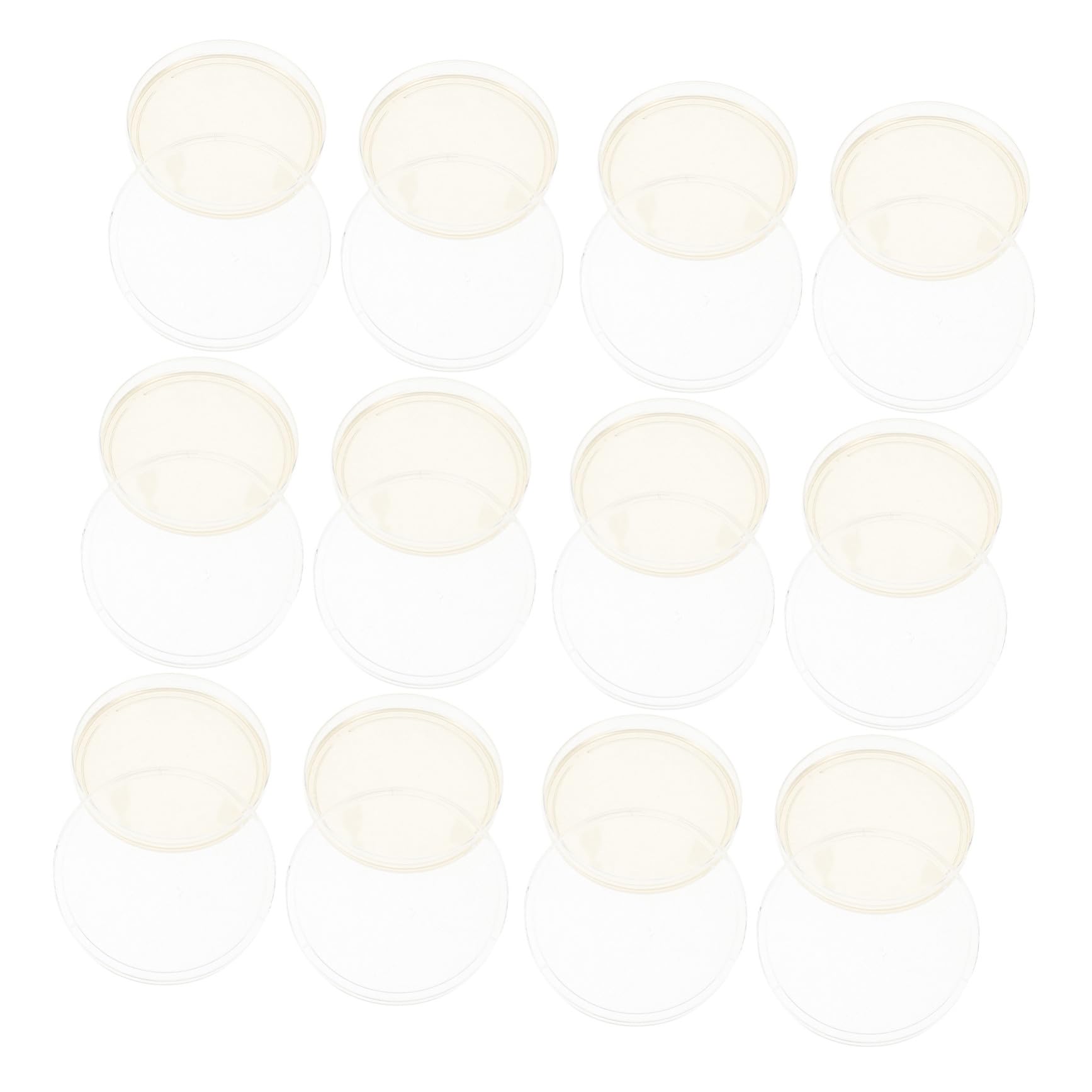 20 Placas de Petri Redondas de Agar Nutritivo Lb Pre-vertidas de 9 Cm Tapas Ajustadas para Cultivo de Hongos y Experimentos Científicos en Laboratorio Estudiantil