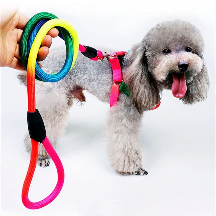 PSK PET MART Color Round Rope Chest Strap Durable Nylon Belt Color Dog Leash and Harness Multicolor Pet Leash Set (B09RWWY982) Amazon Price History, Amazon Price Tracker