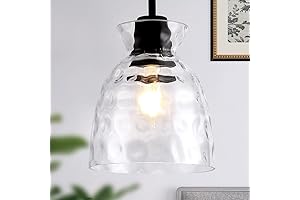 Modern Lager Glass Pendant Light with 9.8 Inch Black Shade