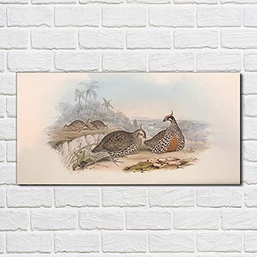 Photo sur verre acrylique style oiseaux pour sublimer la décoration du salon