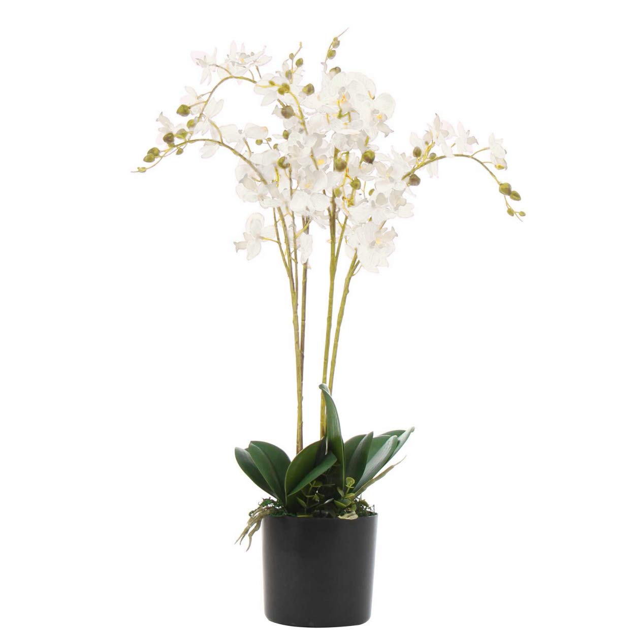 Leaf White Design Uk Realistic Artificial Orchid Flower Display In Pot, 60Cm