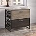 Bush Furniture Refinery 2 Drawer Lateral File Cabinet in Rustic Gray