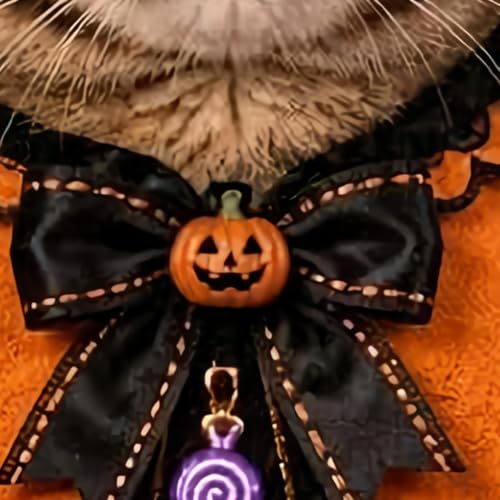 Disfraz de Halloween para gatos ideal para fotografía al aire libre 8
