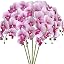 White Flower Purple Core