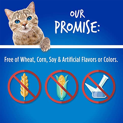 Fruitables Chicken and Blueberry Crunchy Cat Treats | Healthy Cat Treats with Limited Ingredients| Low Calorie | 2.5 Ounces, Model Number: 1030607