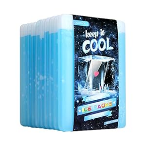10 x Ice packs for Lunch Box – Freezer Ice packs – Slim Long Lasting Cool Packs for Lunch Bags and Cooler, Poker Design (Heart)