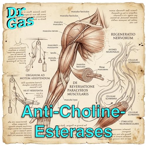 AntiCholinesterases for Adept Anaesthetists