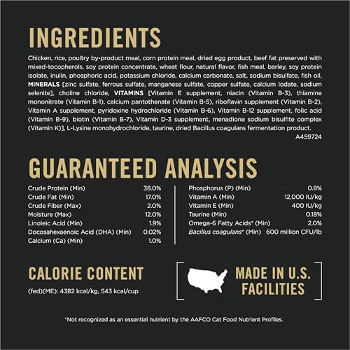 Purina-Pro-Plan-All-Life-Stages-High-Protein-Cat-Food-Chicken-and-Rice-Dry-Kibble-125-Pound-Pack-of-1