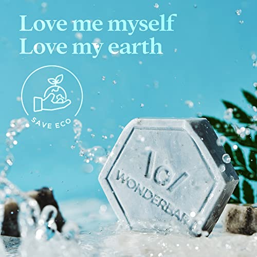 Wonderbar101 Dry Hair And Itching Scalp Dandruff Shampoo Bar – Plant-Based, Ph Balanced, Eco-Friendly, Plastic Free Packaging (Lavender) #TOP7
