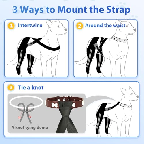 Image of Double Dog Knee Brace for Torn Acl Hind Leg, Double Dog Leg Sleeve,Acl Brace For Dogs Rear Leg for Support, Built-In Hard Metal Spring Support, Outer Night Reflective Strip, Adjustable Strap (Large)