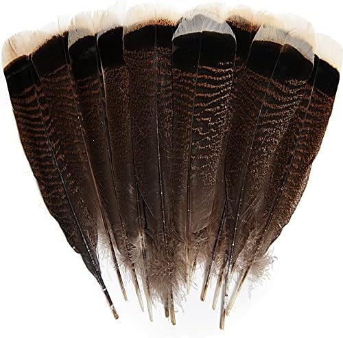 THARAHT 24pcs Natural Wild Turkey Tails Feathers Quill Bulk 8-10inch 20-25cm for DIY Crafts Project Collection Wedding Decoration Wild Turkey Tails Feather