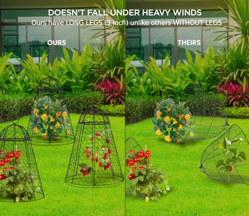 boldworks Garden Cloches for Plants Chicken Wire Cages to Protect from Animals Outdoor Extra Large Rustproof Thicker and Finer Mesh 12" x 20" Pack of 6