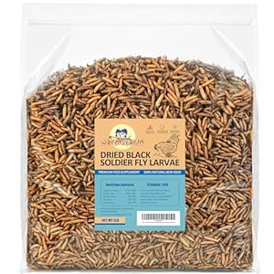 5LB Black Soldier Fly Larvae Treat for Chicken More Calcium Than Mealworms,for Laying Hen,Wild Birds (5 Pound)