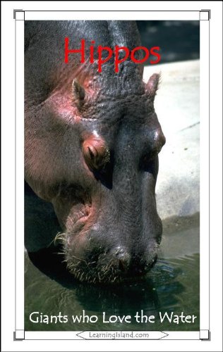 Hippos: Giants Who Love the Water (15-Minute Books Book 312) (English Edition)