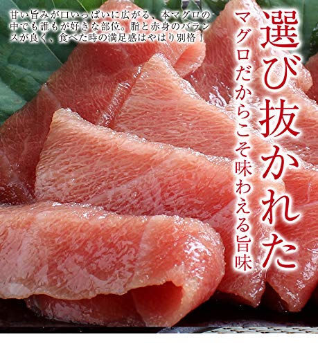 中トロページ① 本マグロ中トロ 1kg 送料無料 解凍レシピ付 刺身 海鮮 食べ物 メガ盛り