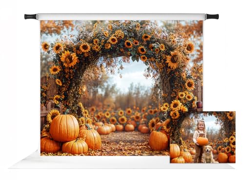 Toile de fond automne Kate 3x2,4m avec tournesols et citrouilles pour studio photo