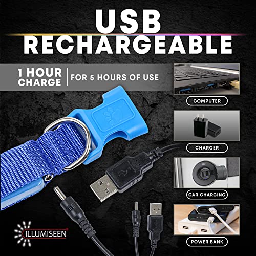 Illumiseen Led Light Up Dog Collar - Bright & High Visibility Lighted Glow Collar For Pet Night Walking – Usb Rechargeable – Weatherproof, In 6 Colors #TOP3